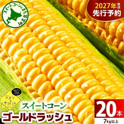 【先行受付】北海道十勝芽室町 スイートコーンゴールドラッシュ20本 me001-020-27b