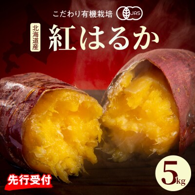 【先行受付】【2024年11月下旬より配送】 熟成さつまいも 紅はるか 5kg(土付き)