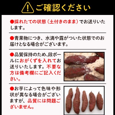 【先行受付】【2024年11月下旬より配送】 熟成さつまいも 紅はるか 5kg(土付き)
