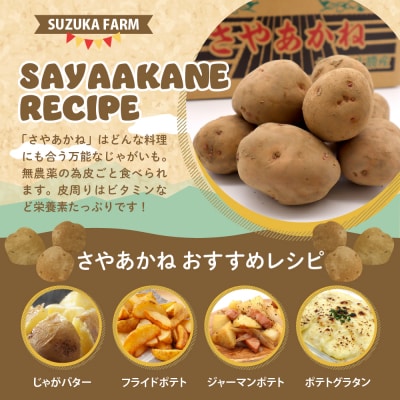 【先行受付】【2025年12月より配送】さやあかね Lサイズ 10kg me049-004c-25