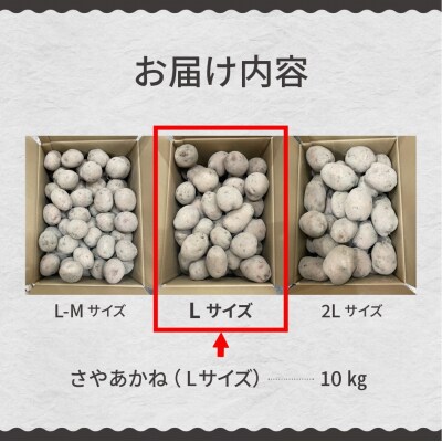 【先行受付】【2025年12月より配送】さやあかね Lサイズ 10kg me049-004c-25