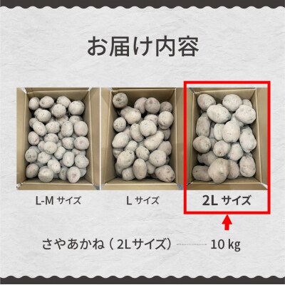 【先行受付】【2025年12月より配送】さやあかね 2Lサイズ 10kg me049-005c-25