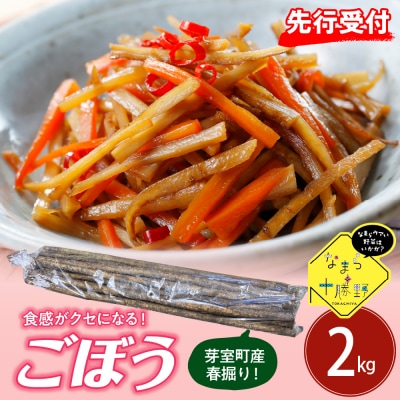 【先行受付5月中旬より順次発送】北海道芽室町 春掘りごぼう【柳川理想】M2kg me001-031c