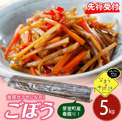 【2026年5月中旬～発送】北海道十勝芽室町 春掘りごぼう【柳川理想】M5kg me001-032c