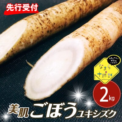 【先行受付 5月中旬～発送】芽室町 春掘り美肌ごぼう【ユキシズク】L2kg me001-034c