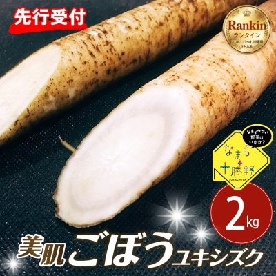 【2026年5月中旬~順次発送】芽室町 春掘り美肌ごぼう【ユキシズク】L2kg me001-034c