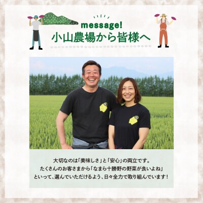 【先行受付 5月中旬～発送】芽室町 春掘り美肌ごぼう【ユキシズク】L2kg me001-034c