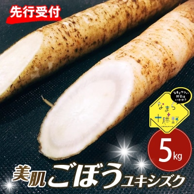 【先行受付5月中旬より順次発送】北海道芽室町 春掘り美肌ごぼう【ユキシズク】L5kg