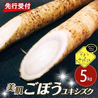 【先行受付5月中旬より順次発送】北海道芽室町 春掘り美肌ごぼう【ユキシズク】L5kg