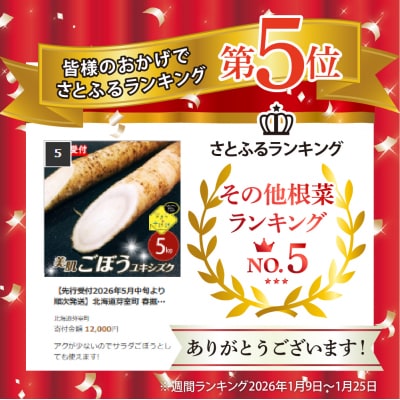 【先行受付2026年5月中旬より順次発送】北海道芽室町 春掘り美肌ごぼう【ユキシズク】L5kg