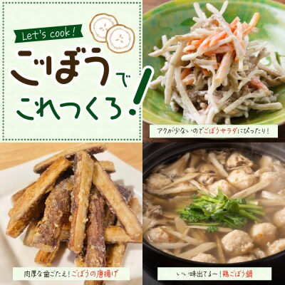 【先行受付5月中旬より順次発送】北海道芽室町 春掘り美肌ごぼう【ユキシズク】L5kg