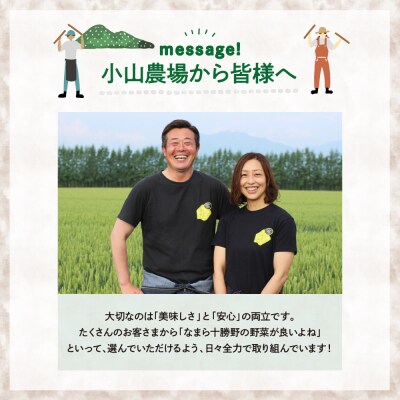 【先行受付5月中旬より順次発送】北海道芽室町 春掘り美肌ごぼう【ユキシズク】L5kg