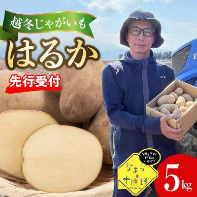 【先行受付　4月より順次発送】北海道十勝芽室町　越冬じゃがいも　はるか　5kg　me001-028c