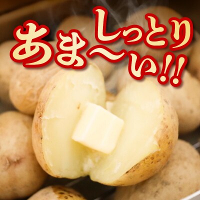 【先行受付　4月より順次発送】北海道十勝芽室町　越冬じゃがいも　はるか　5kg　me001-028c