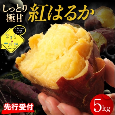 【12月以降発送】北海道十勝芽室町 なまら十勝野 芽室町産さつまいも【紅はるか】5kg