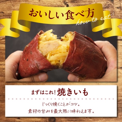 【12月以降発送】北海道十勝芽室町 なまら十勝野 芽室町産さつまいも【紅はるか】5kg