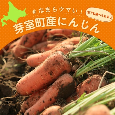 【先行受付】【10月上旬より発送】北海道十勝芽室町 なまら十勝野 芽室町産にんじん5kg