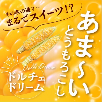 【先行受付 8月より順次発送】北海道十勝芽室町 なまら十勝野　ドルチェドリーム(8本) 