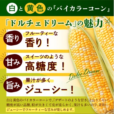 【先行受付 8月より順次発送】北海道十勝芽室町 なまら十勝野　ドルチェドリーム(8本) 