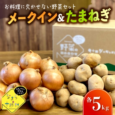 【先行受付】なまら十勝野 芽室町産メークイン・玉ねぎ　各5kg　me001-036c