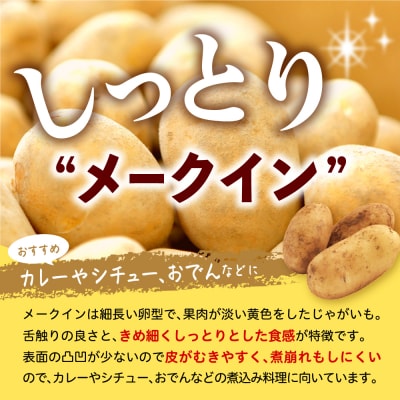 【先行受付】なまら十勝野 芽室町産メークイン・玉ねぎ　各5kg　me001-036c