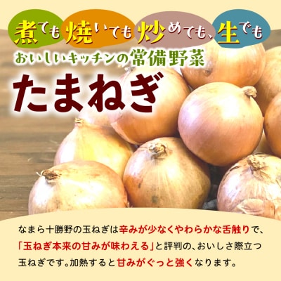 【先行受付】なまら十勝野 芽室町産メークイン・玉ねぎ　各5kg　me001-036c