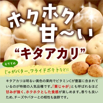 【先行受付】なまら十勝野 芽室町産キタアカリ・玉ねぎ　各5kg　me001-037c