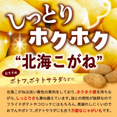 【先行受付】なまら十勝野 芽室町産北海こがね・玉ねぎ　各5kg　me001-038c