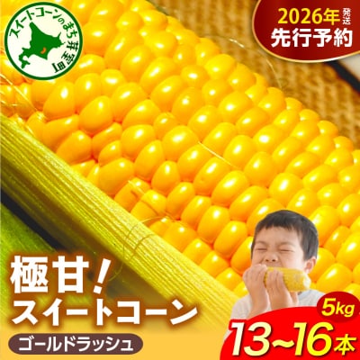 【先行受付】北海道芽室町 ファームミリオン 極甘スイートコーン 5kg me016-011c-26 | ふるさと納税のお礼品