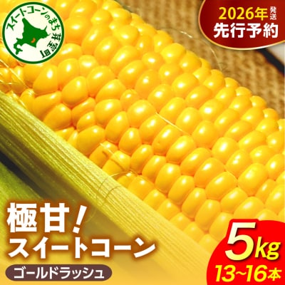 【先行受付】北海道十勝芽室町 ファームミリオンの極甘スイートコーン 5kg me016-011c