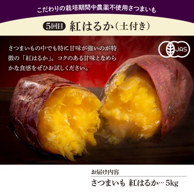 【先行受付・10月配送開始】【隔月6回定期便】鈴鹿さんのさつまいもづくし　me000-028-k6c