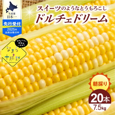 【先行受付】北海道十勝芽室町 スイートコーンドルチェドリーム20本 me001-045c-25