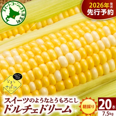 【先行受付】北海道十勝芽室町 スイートコーンドルチェドリーム20本 me001-045c-26
