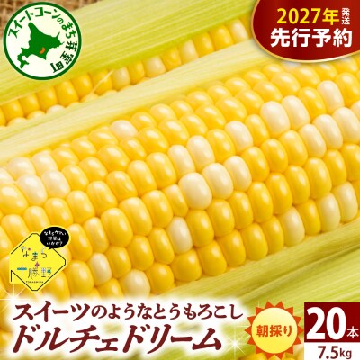 【先行受付】北海道十勝芽室町 スイートコーンドルチェドリーム20本 me001-045-27b