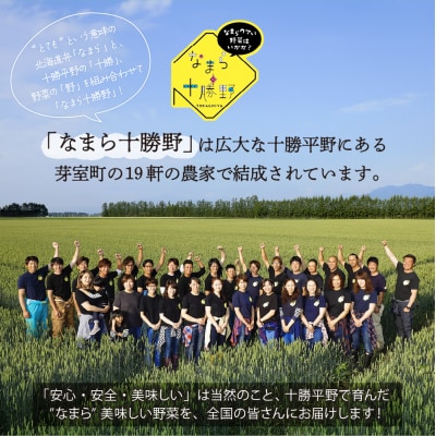【先行受付】北海道十勝芽室町 スイートコーンドルチェドリーム30本 me001-044c-26