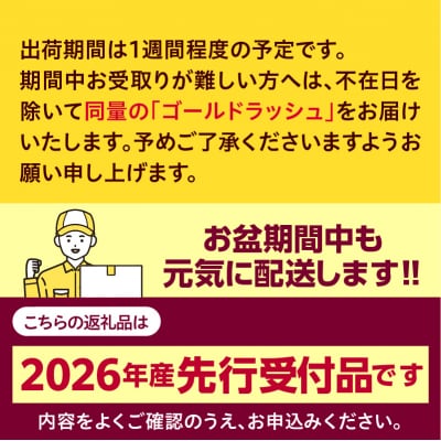 【先行受付】北海道十勝芽室町 スイートコーンドルチェドリーム10本 me001-043c-26