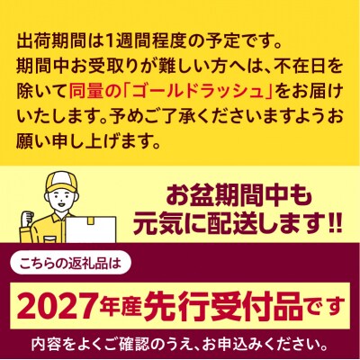 【先行受付】北海道十勝芽室町 スイートコーンドルチェドリーム10本 me001-043-27b