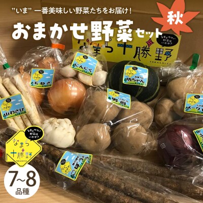 2024年10月北海道 で収穫した 松の実1kg オホーツクから秋の