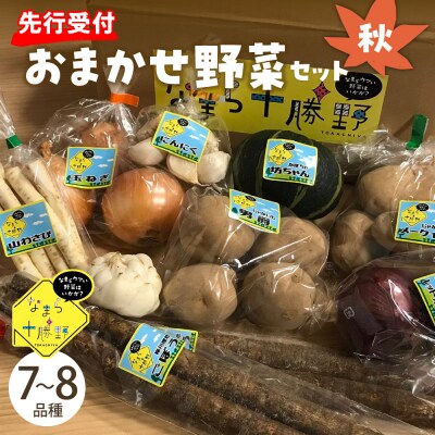 【10月より配送】北海道芽室町 なまら十勝野の季節のおまかせ野菜セット(秋) me001-004c