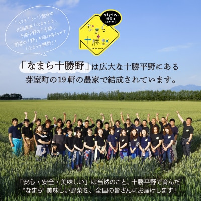 【10月より配送】北海道芽室町 なまら十勝野の季節のおまかせ野菜セット(秋) me001-004c