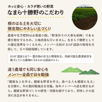 【10月より配送】北海道芽室町 なまら十勝野の季節のおまかせ野菜セット(秋) me001-004c