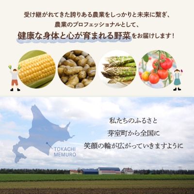 【10月より配送】北海道芽室町 なまら十勝野の季節のおまかせ野菜セット(秋) me001-004c