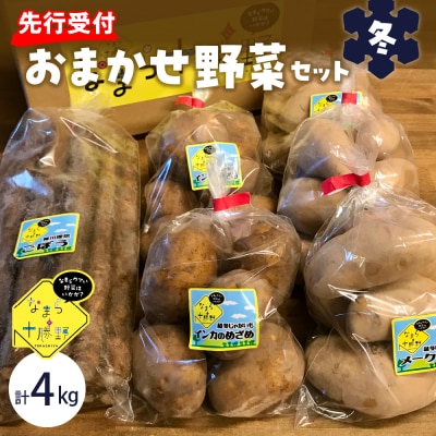 【先行受付 2月より順次発送】北海道十勝芽室町 季節のおまかせ野菜セット(冬) me001-015c