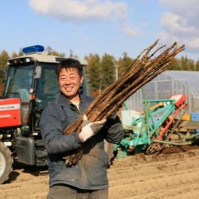【先行受付】【2027年2月より順次発送】北海道十勝芽室町 季節のおまかせ野菜セット(冬)