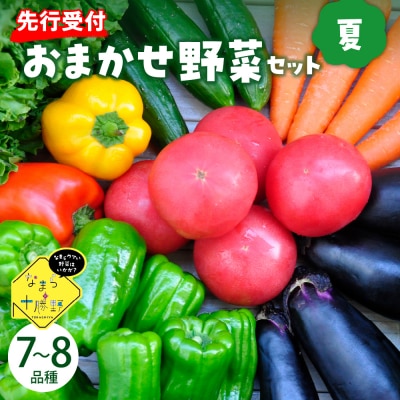 【2026年8月より発送】芽室町 なまら十勝野の季節のおまかせ野菜セット(夏) me001-009c