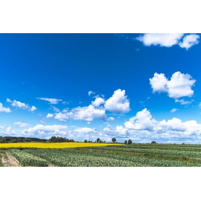 【2026年8月より発送】芽室町 なまら十勝野の季節のおまかせ野菜セット(夏) me001-009c