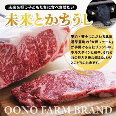 北海道十勝芽室町　未来とかち牛バラ焼肉　500g　me073-005c