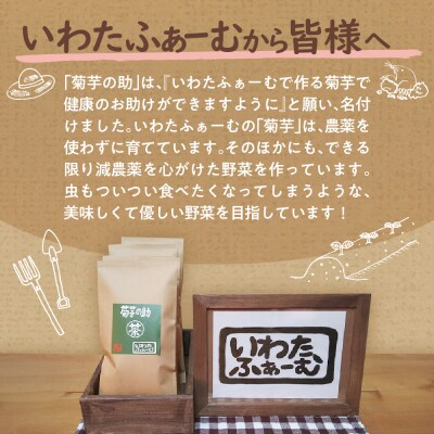 北海道十勝芽室町 菊芋の助・茶 me012-005c