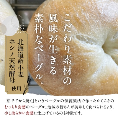 北海道十勝芽室町 ベーグルおまかせ10点セット me070-001c