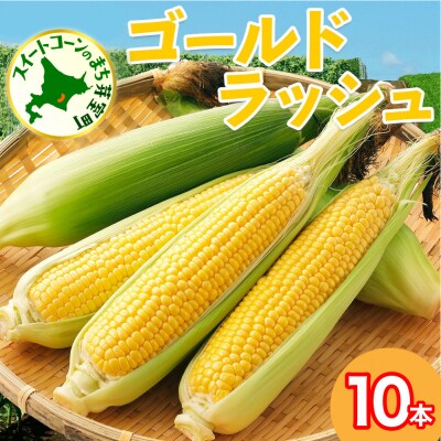 【2026年先行受付】北海道芽室町 とうもろこし ゴールドラッシュ10本 me035-026c-26